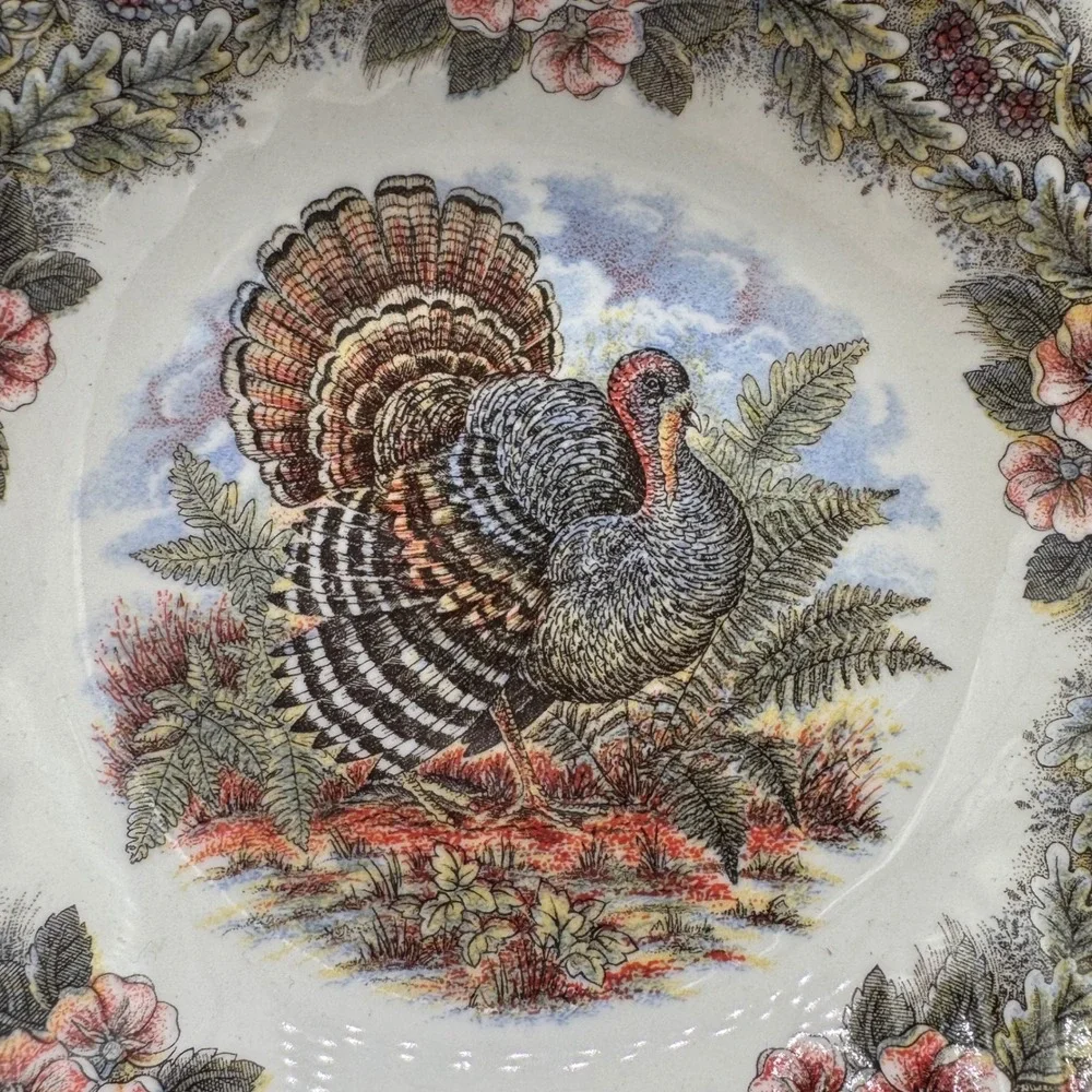 Queens Thanksgiving Turkey Cereal Bowls Set of 2 Myott Factory Archive 6.25in